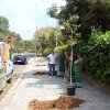 23 maggio 2011 Sabaudia: Il Verde è Vita